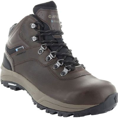Altitude VI Men's Waterproof Hiker Boot