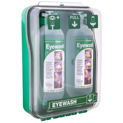Tobin Wall Mount Eye Wash Station in Dust Cabinet