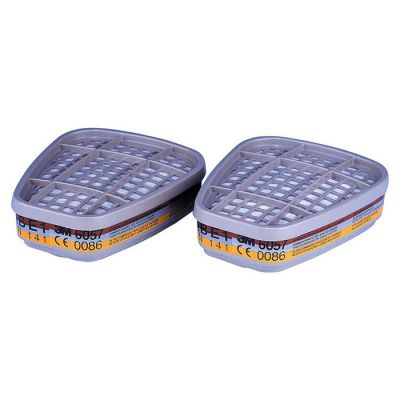 6075 Formaldehyde/Organic Vapour Cartridg - 1 Pair